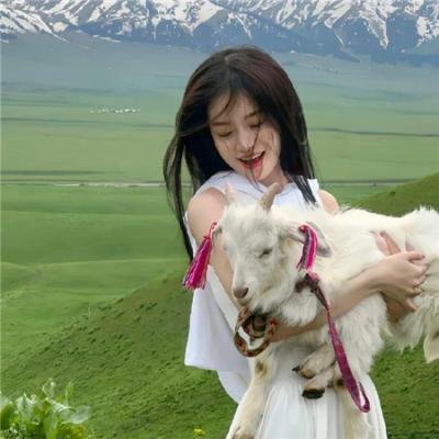 加拿大有个小波斯